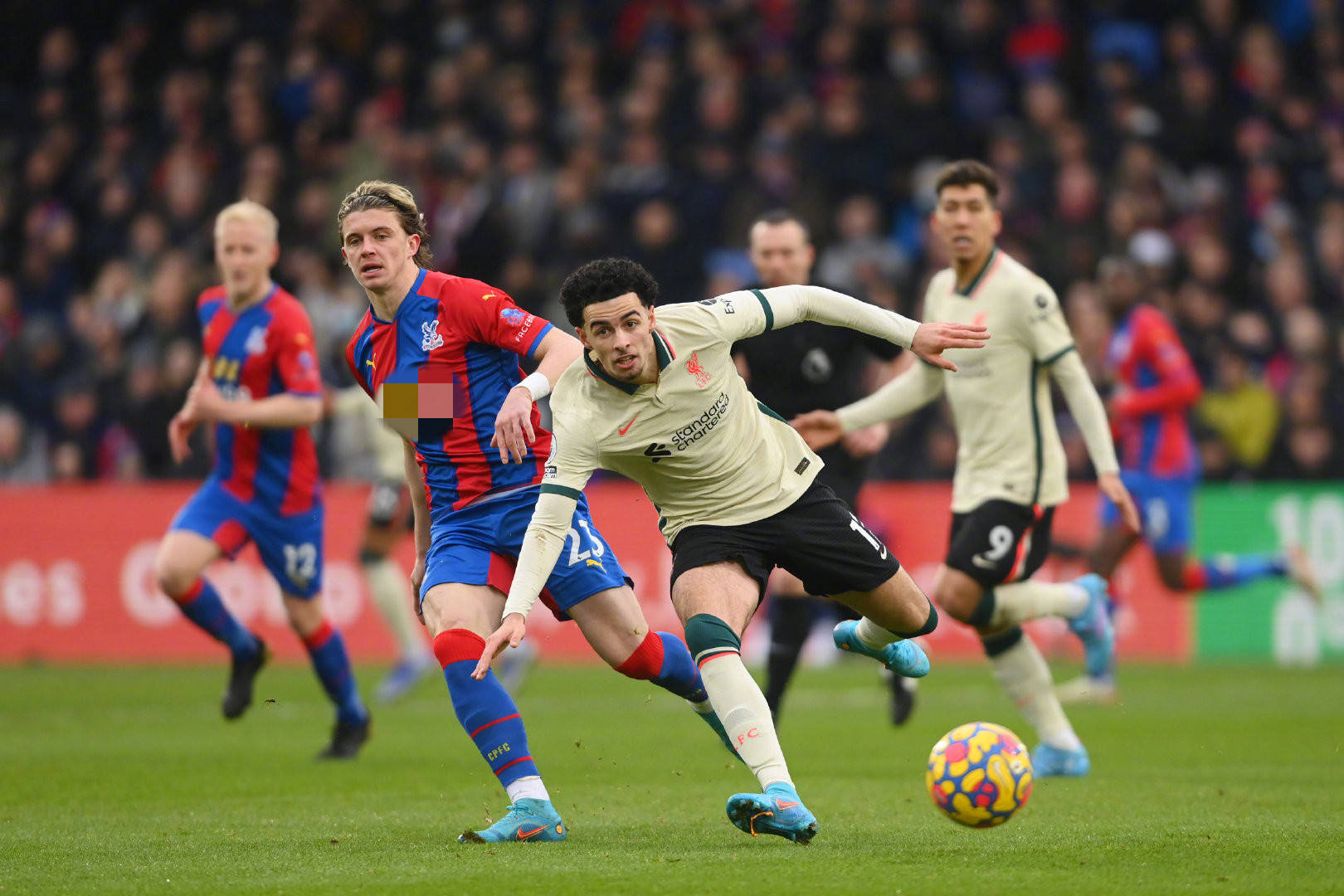 带来他的比 带来他的比